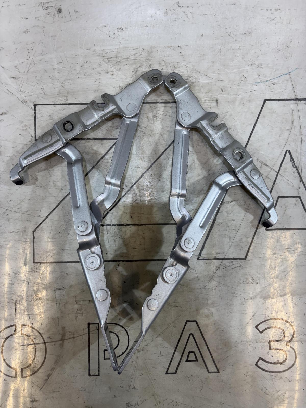 Петли крышки багажника левая правая 4B5827302F, 4B5827301F