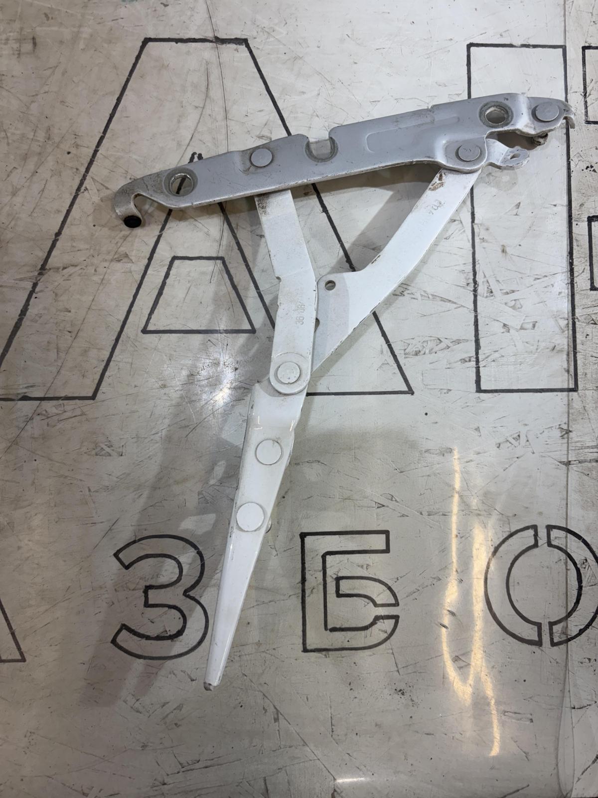 Петли крышки багажника  левая правая 4F5827301D, 4F5827302D